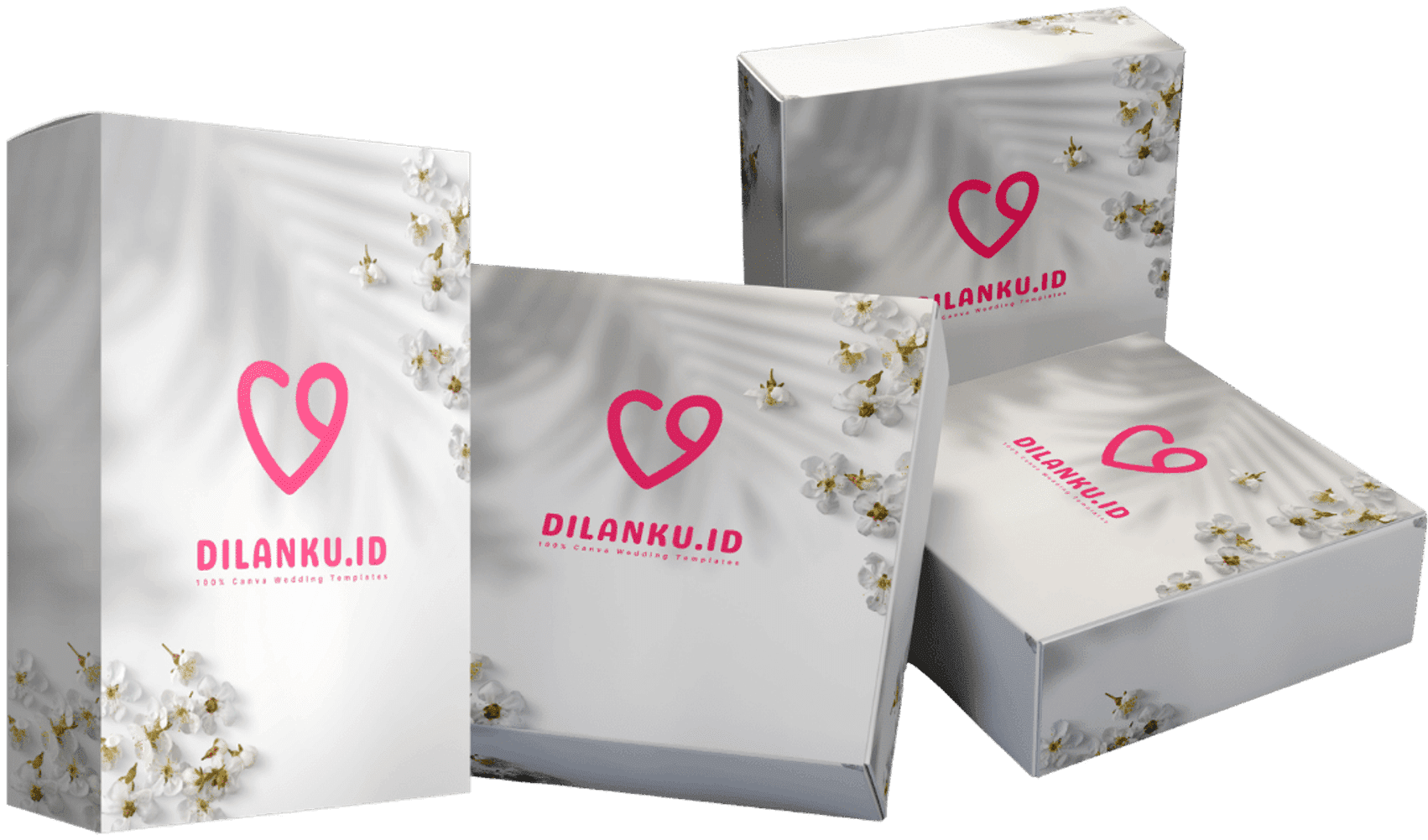 boxbundle_optimized-23.25.34.png