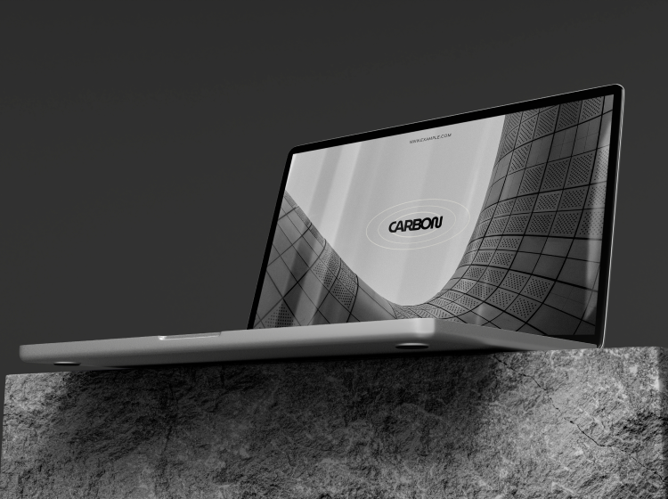 About project pic 1